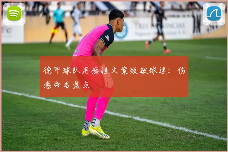 德甲球队用感性文案致敬球迷：伤感命名盘点