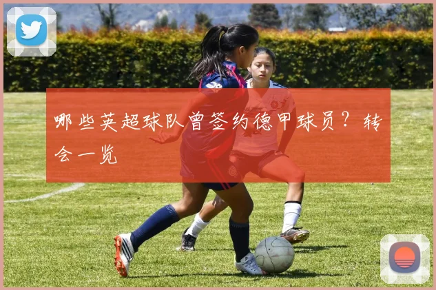 哪些英超球队曾签约德甲球员？转会一览